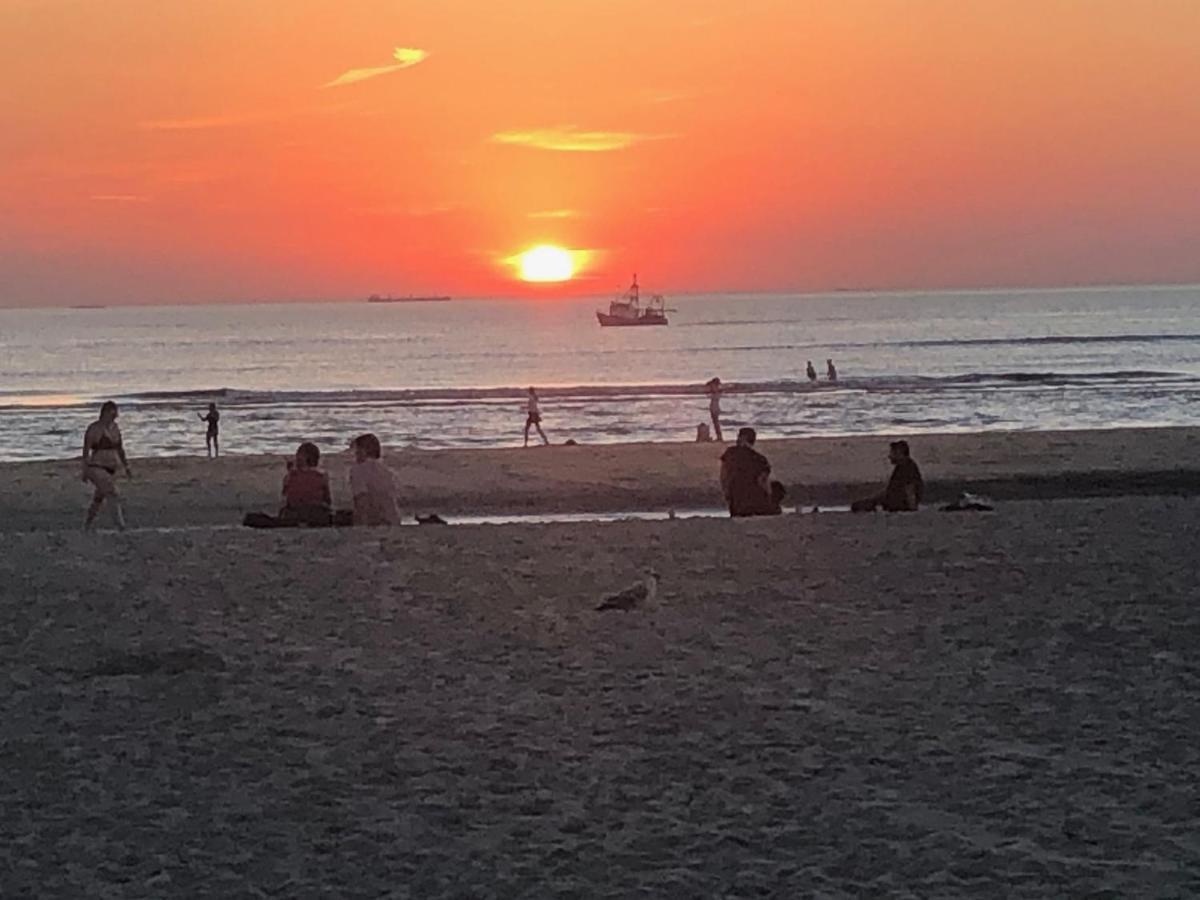 Zeeduin Amsterdam * Zandvoort